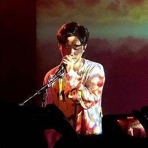 D. 队长-全套专辑合集